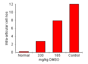 graph/DMSO intra-articular cell nos
