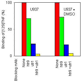 Effect of anti-TNF receptor mAb